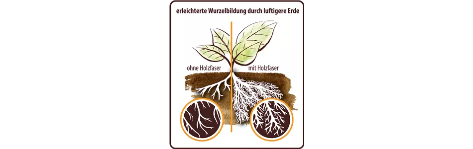 Illustration_Holzfaser_2019.png